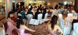 パーティー・イベント演奏 パーティー・イベント演奏