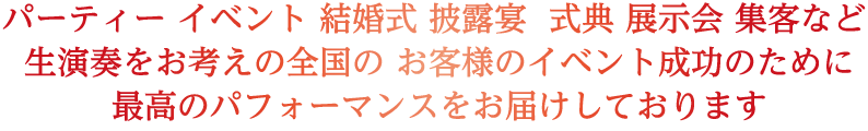 美しいプロ演奏家のエンターテイメント