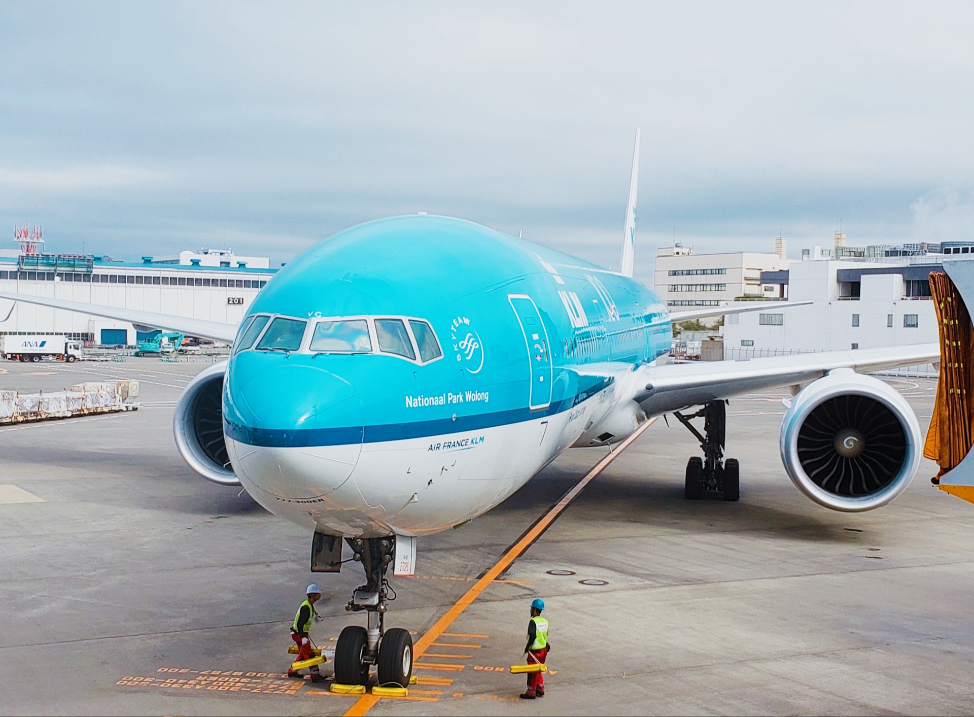 成田空港 の飛行機